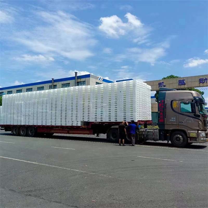 鞍山市黄埔区物流：多元服务与高效运输线路探秘