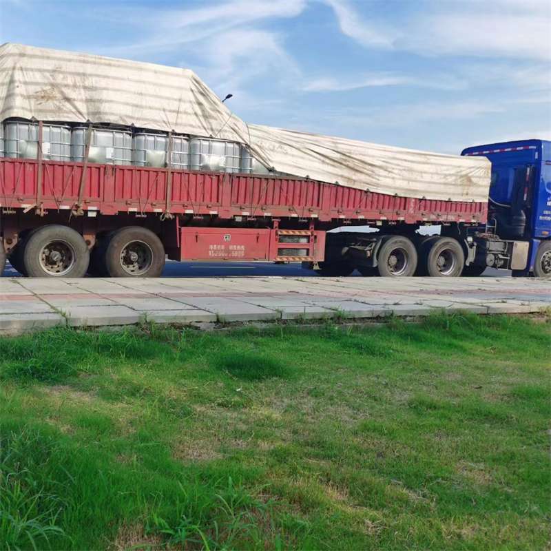 鞍山市沅江市物流：多元服务与高效运输线路探秘