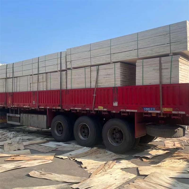 鞍山市淮阳物流：全方位运输服务探秘