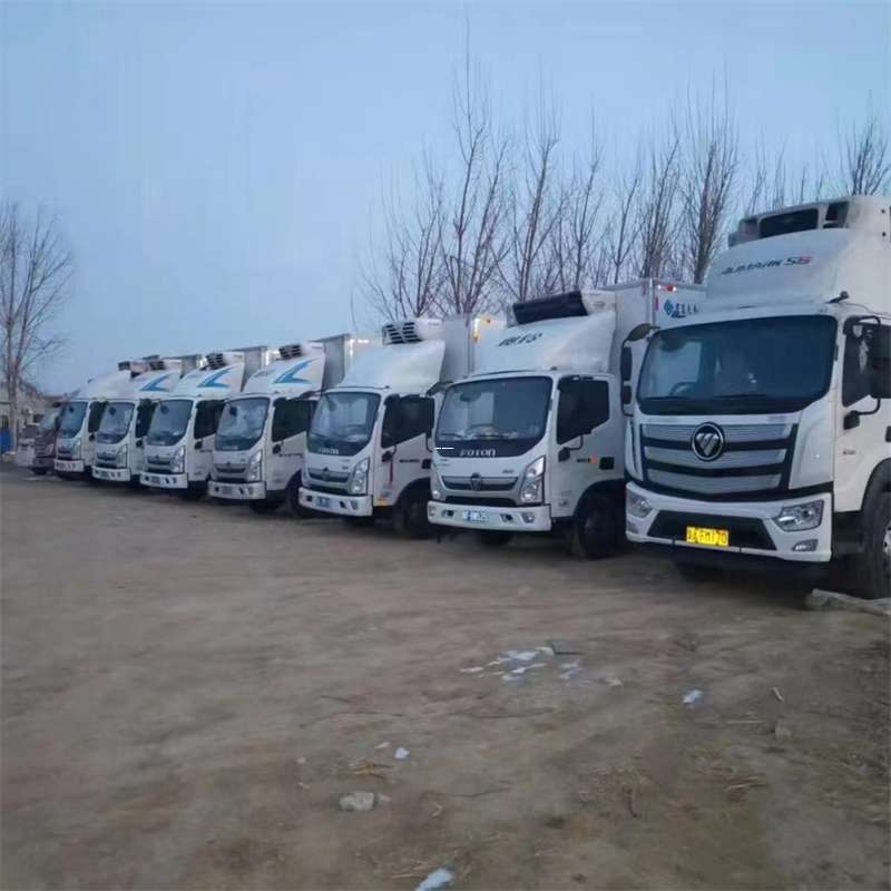 鞍山市珠山区物流：多元运输的高效与创新