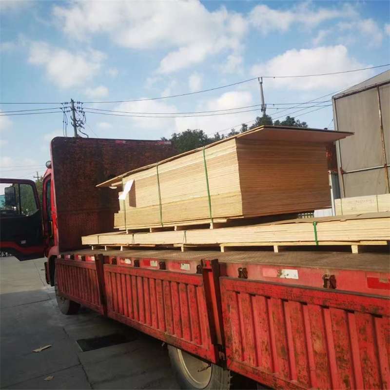 鞍山市通化市物流运输：多元服务与高效线路探秘