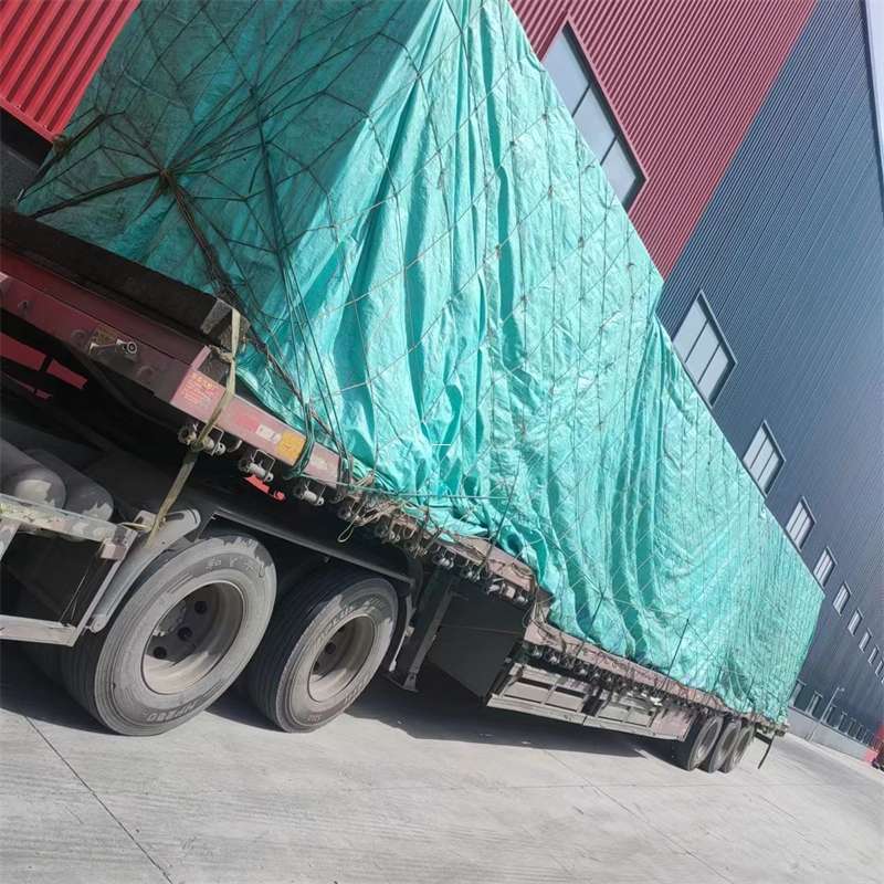 鞍山市正定县物流：多元运输服务的精彩画卷