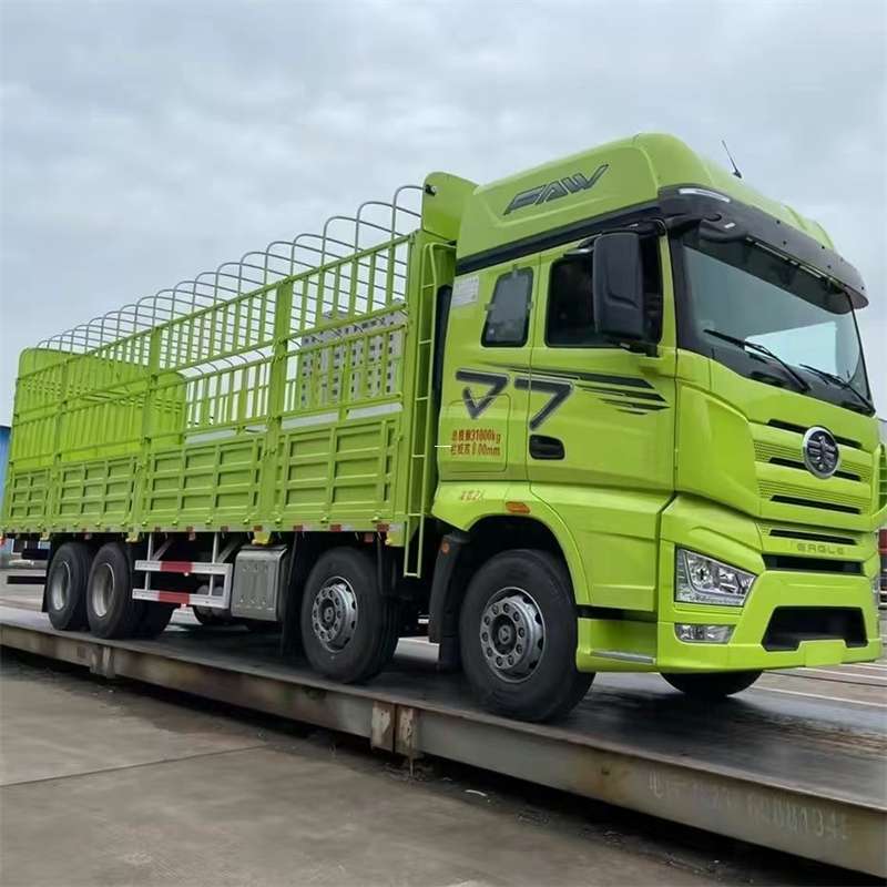 鞍山市临洮县：物流专线开启货运新征程