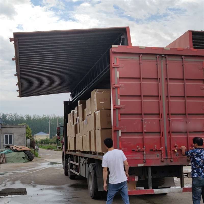 鞍山市扎囊县：物流专线的高效货运之旅