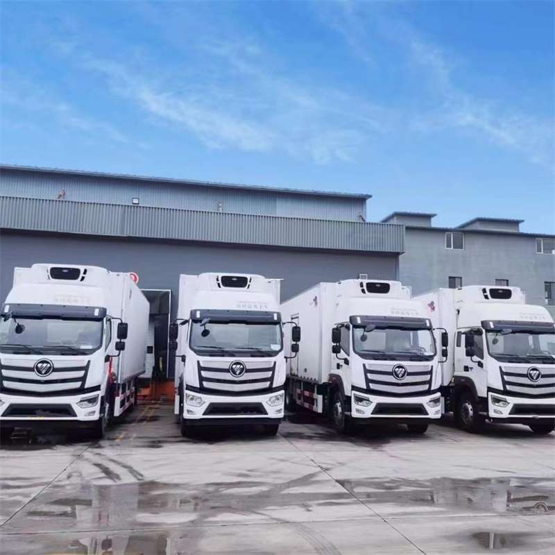 鞍山市新龙县进仓物流：多元专线直达运输探秘