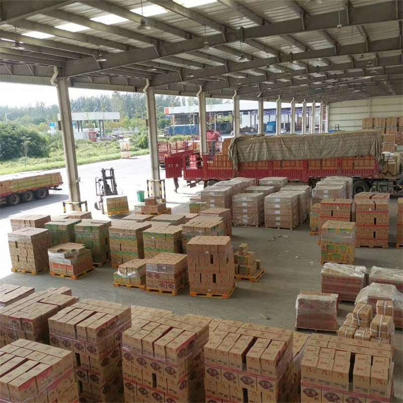 鞍山市余庆县物流运输：多元服务与高效线路探秘